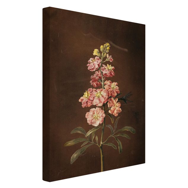 Cuadros en lienzo de flores Barbara Regina Dietzsch - A Light Pink Gillyflower