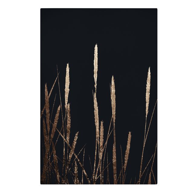 Cuadros plantas Graphical Plant World - Golden Reed