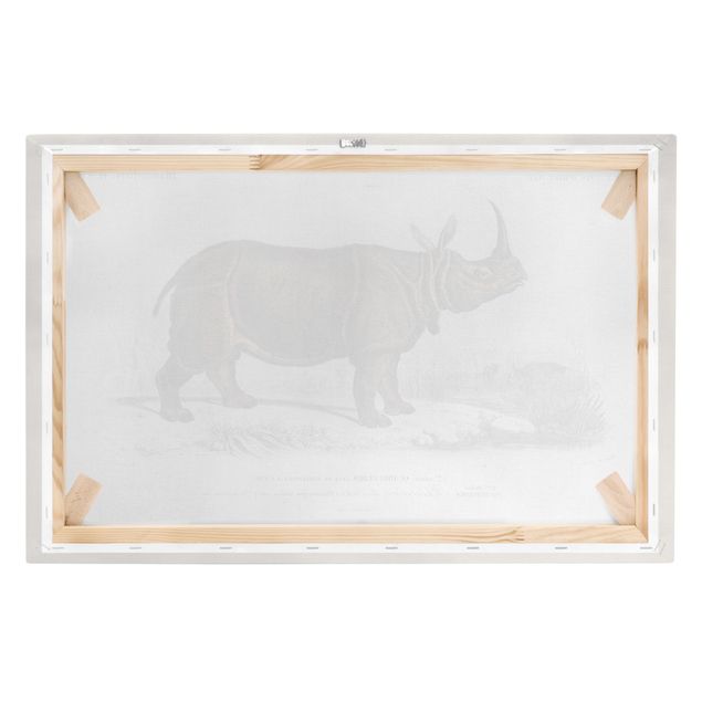 Cuadros en tonos beige y marrón Vintage Board Rhino