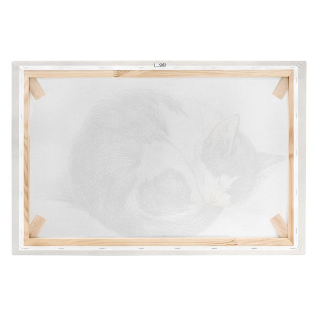 Cuadros a blanco y negro Vintage Drawing Cat II