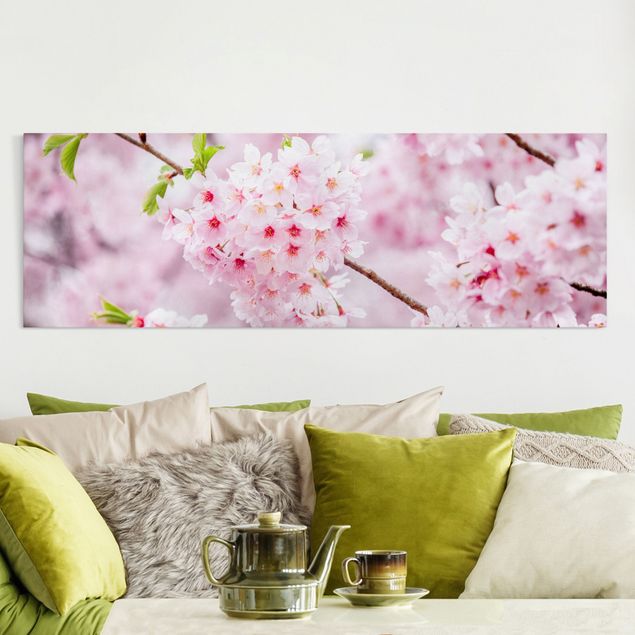 Cuadros asiaticos Japanese Cherry Blossoms