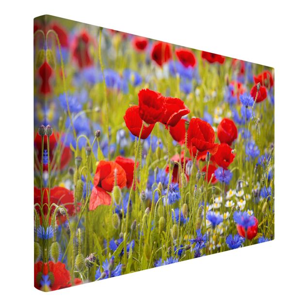Lienzos flores Summer Meadow With Poppies And Cornflowers