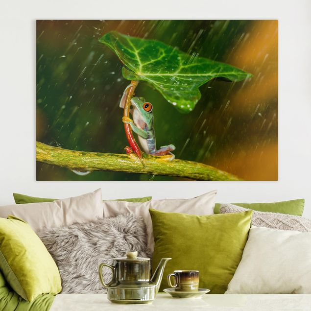 Decoración en la cocina Frog In The Rain