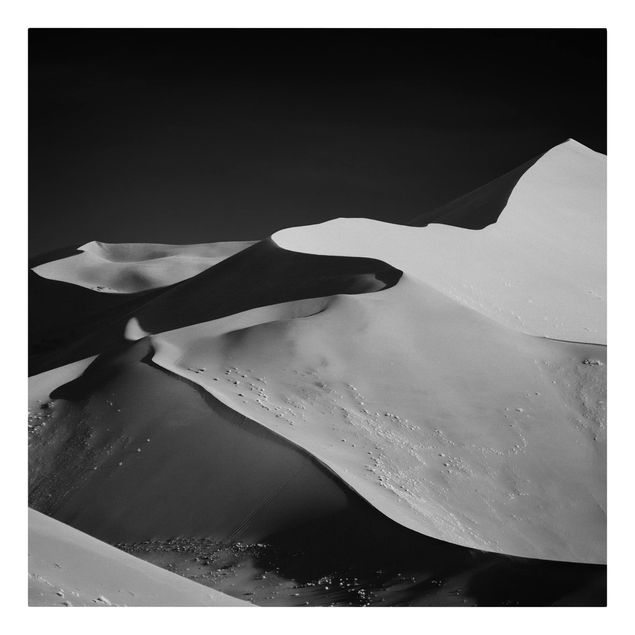 Lienzos blanco y negro Desert - Abstract Dunes