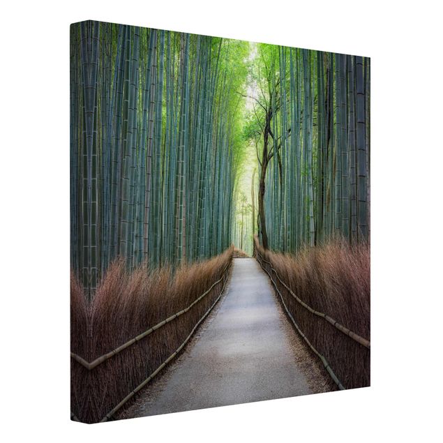 Cuadros paisajes The Path Through The Bamboo