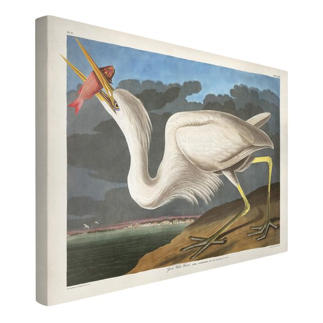 Lienzos de aves Vintage Board Great White Egret
