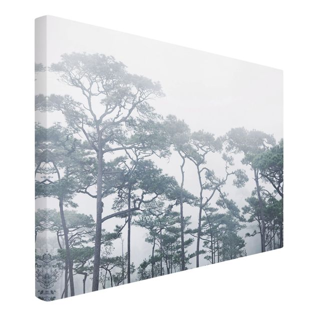 Lienzos paisajes Treetops In Fog