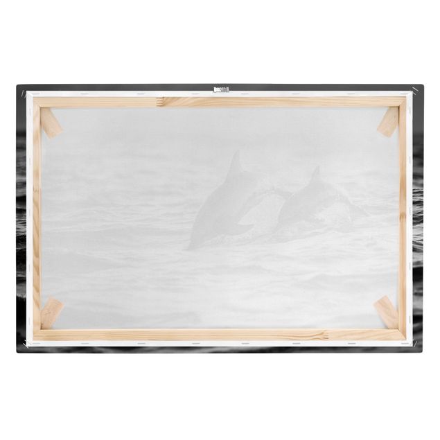 Cuadros a blanco y negro Two Jumping Dolphins