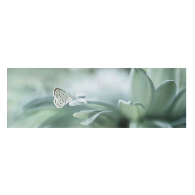 Cuadros en lienzo de flores Butterfly And Dew Drops In Pastel Green