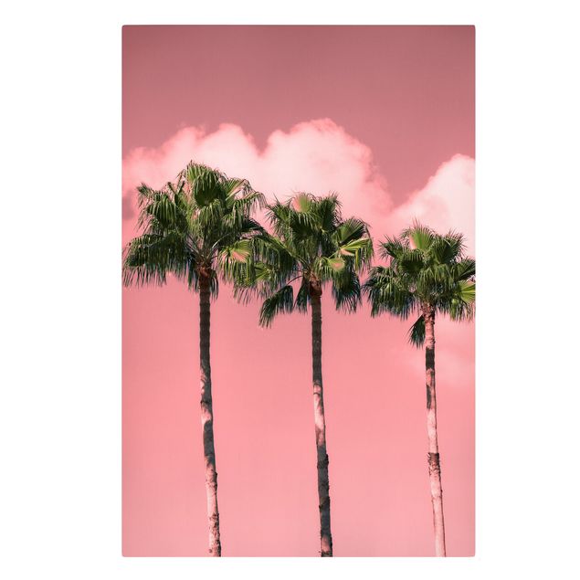 Cuadros de flores modernos Palm Trees Against Sky Pink