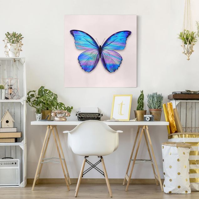 Lienzos mariposas Holographic Butterfly