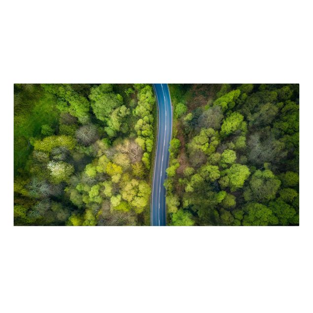 Lienzos de bosques Aerial View - Asphalt Road In The Forest