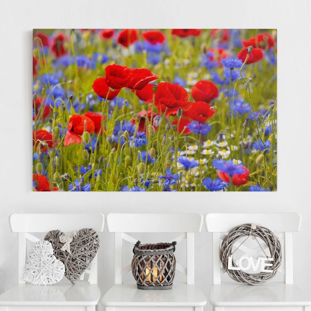 Cuadros de amapolas Summer Meadow With Poppies And Cornflowers