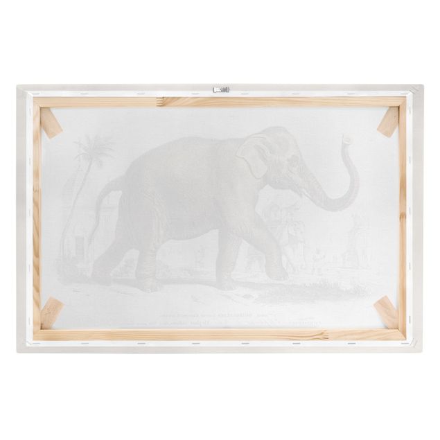 Lienzos de animales Vintage Board Elephant