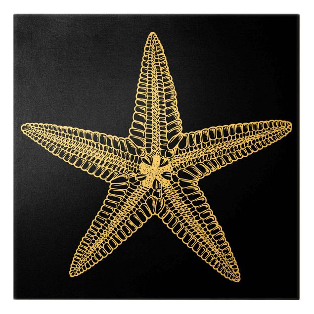 Cuadro negro Illustration Starfish On Black