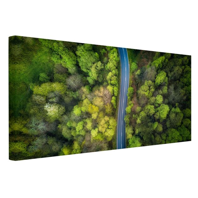 Lienzos paisajes naturales Aerial View - Asphalt Road In The Forest