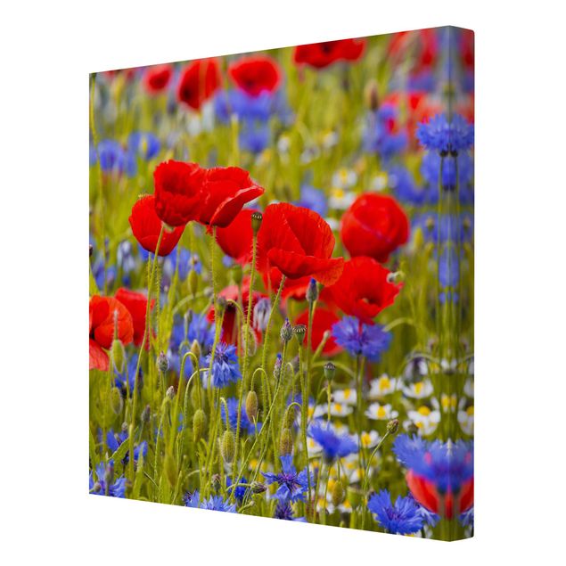 Cuadros de flores Summer Meadow With Poppies And Cornflowers