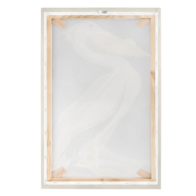 Cuadros Vintage Board White Pelican