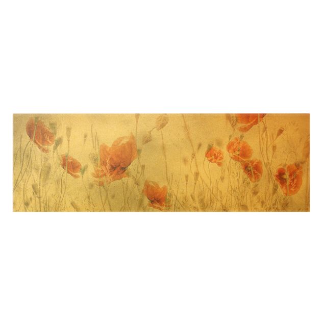 Cuadros en lienzo de flores Poppy Flowers And Grasses In A Field