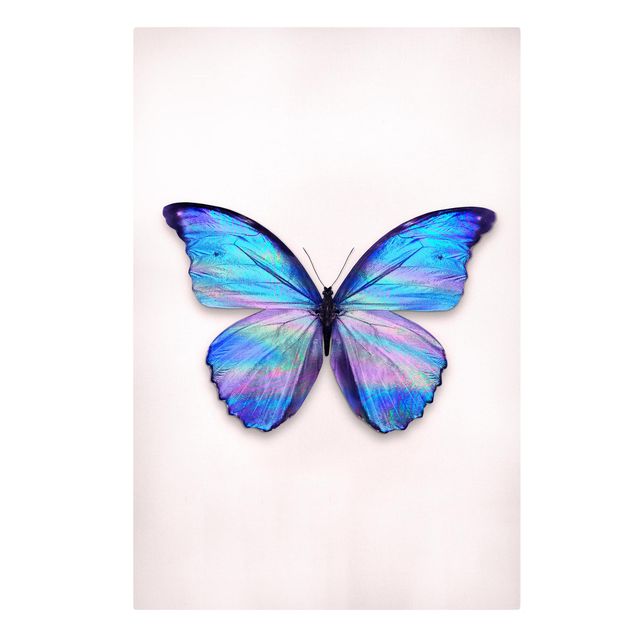 Lienzos de cuadros famosos Holographic Butterfly