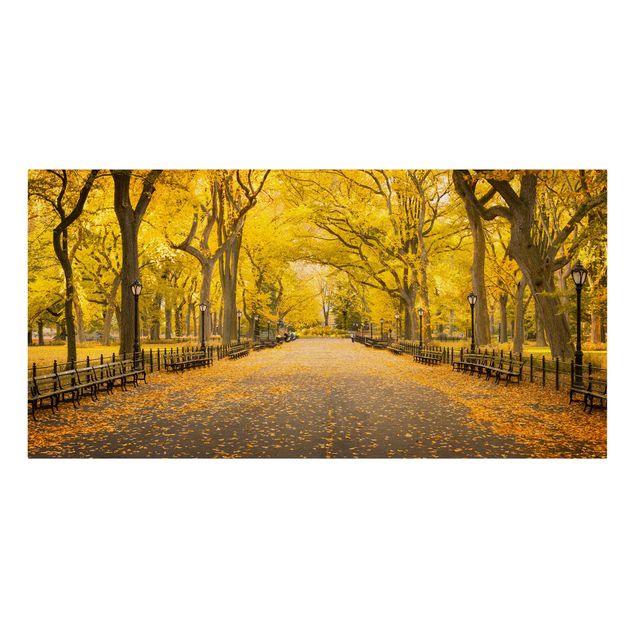 Cuadros de ciudades Autumn In Central Park