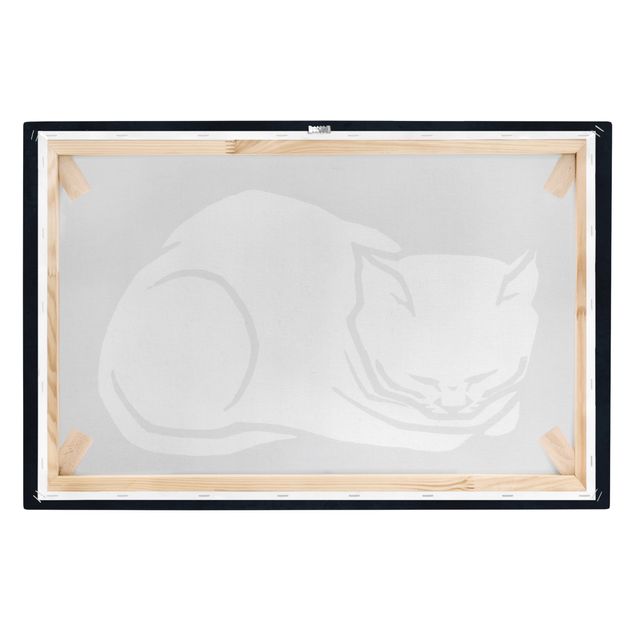 Cuadros en blanco y negro Sleeping Cat Illustration