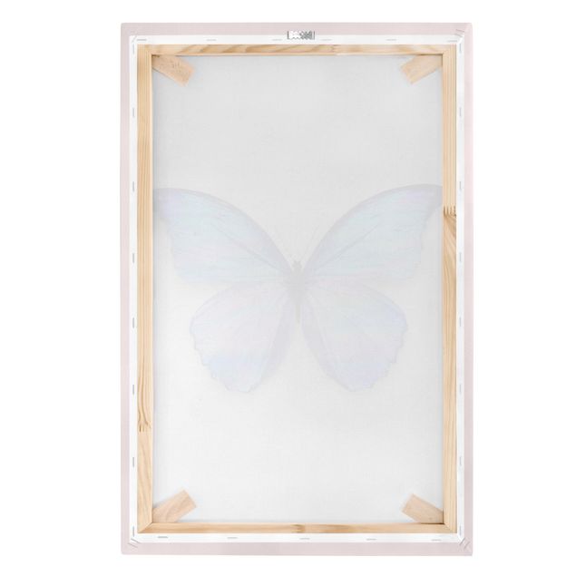 Lienzos animal Holographic Butterfly