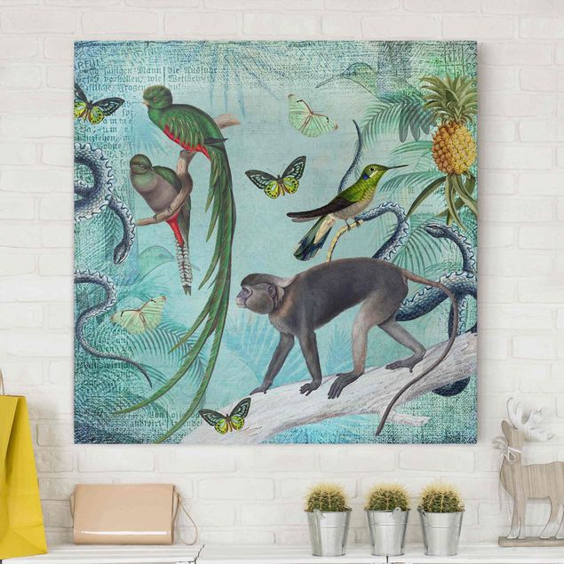 Lienzos de monos Colonial Style Collage - Monkeys And Birds Of Paradise