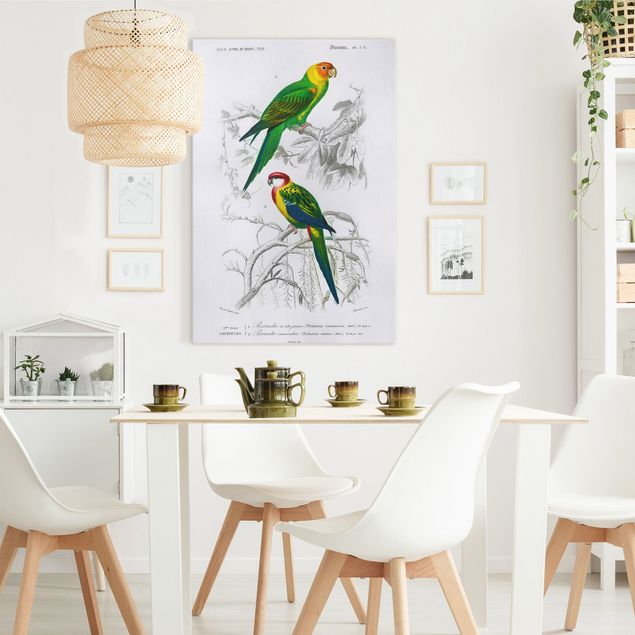 Lienzos de aves Vintage Wall Chart Two Parrots Green Red