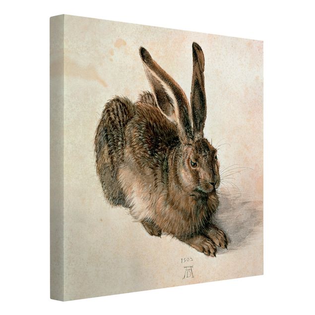 Lienzos de cuadros famosos Albrecht Dürer - Young Hare