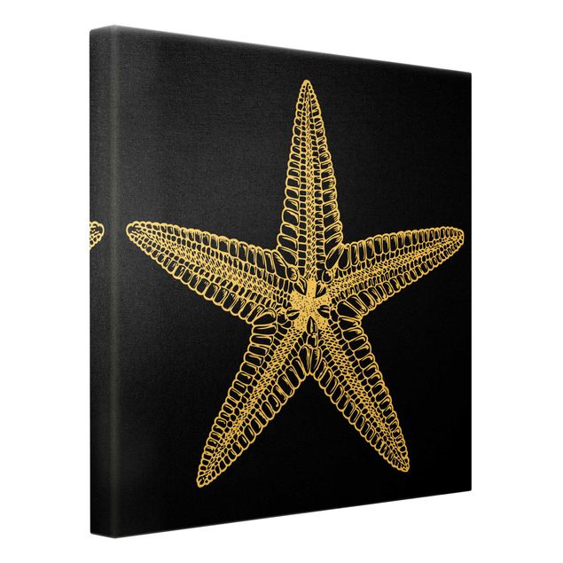 Cuadros Illustration Starfish On Black