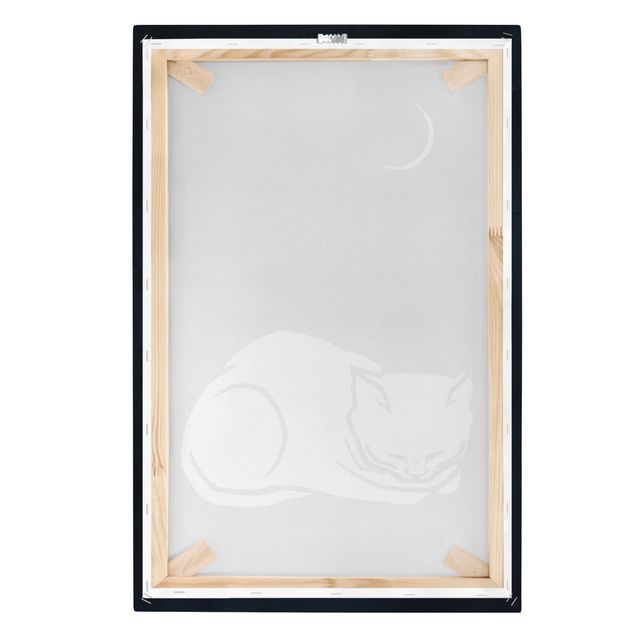 Cuadros a blanco y negro Sleeping Cat Illustration