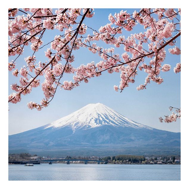 Cuadros de paisajes de montañas Cherry Blossoms With Mt. Fuji
