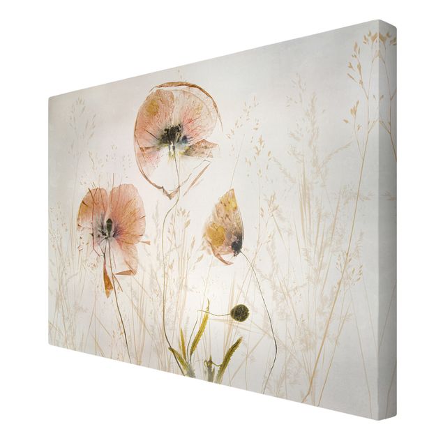Cuadros de plantas naturales Dried Poppy Flowers With Delicate Grasses