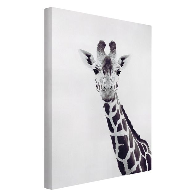 Lienzos en blanco y negro Giraffe Portrait In Black And White
