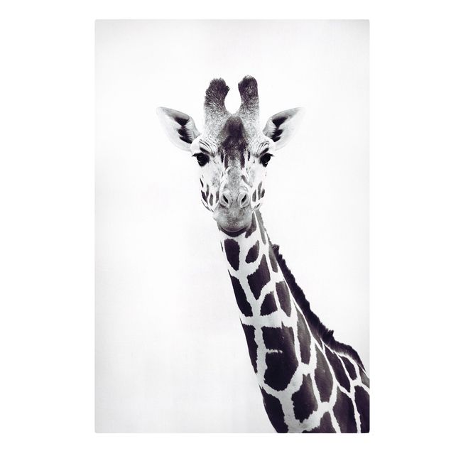 Lienzos animal Giraffe Portrait In Black And White