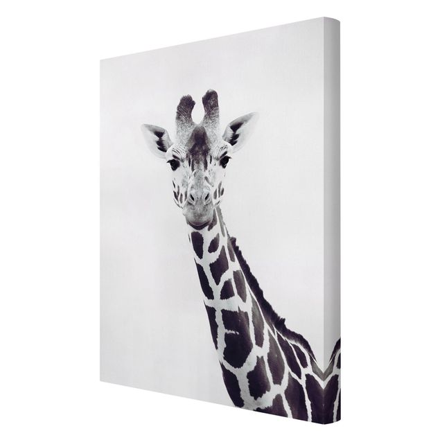 Cuadros modernos y elegantes Giraffe Portrait In Black And White