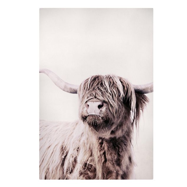 Cuadros en blanco y negro Highland Cattle Frida In Beige