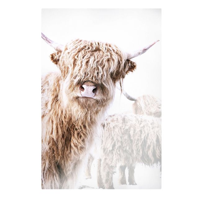 Cuadros de Monika Strigel Highland Cattle Karlo