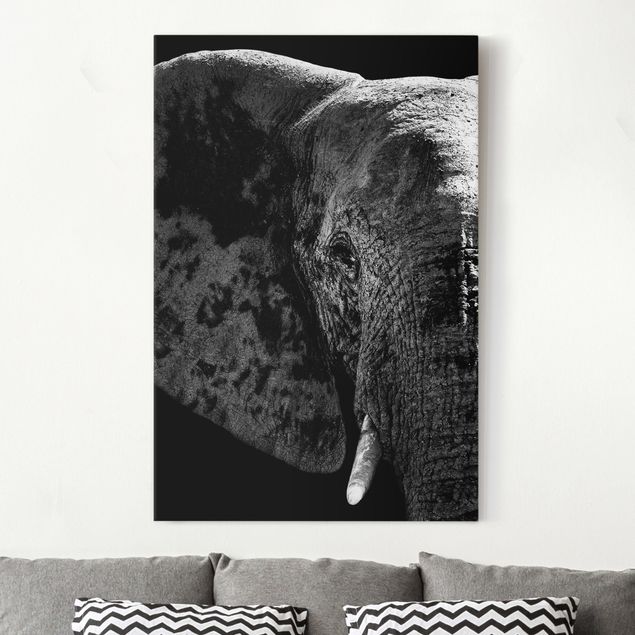 Lienzos elefantes African Elephant black and white