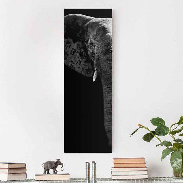 Lienzo de elefante African Elephant black and white