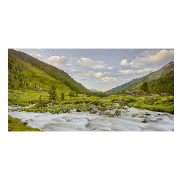 Lienzos paisajes naturales Alpine meadow Tirol