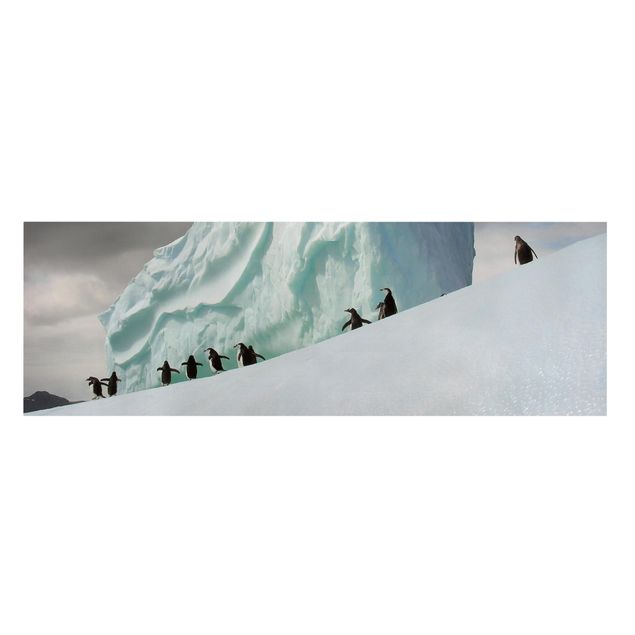Lienzos de paisajes Arctic Penguins