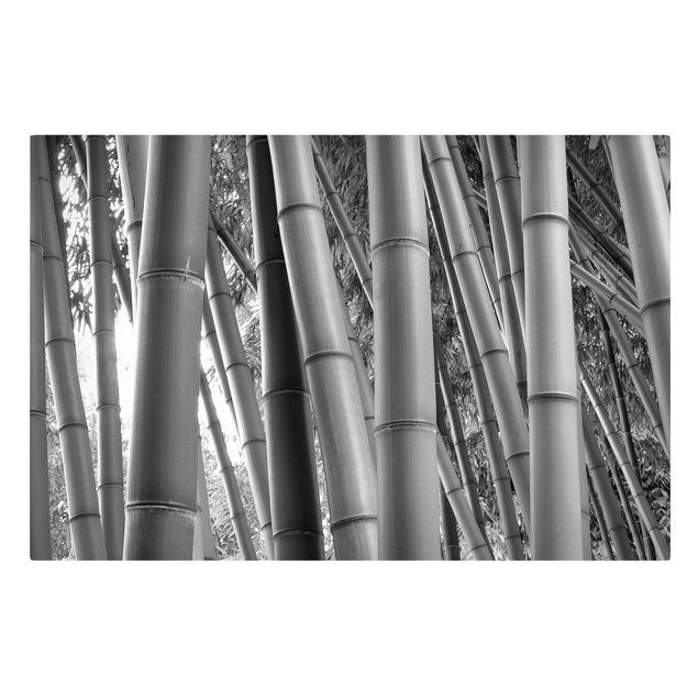 Cuadro con paisajes Bamboo