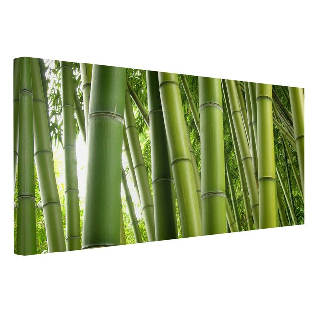 Cuadros bambú decorativos Bamboo Trees