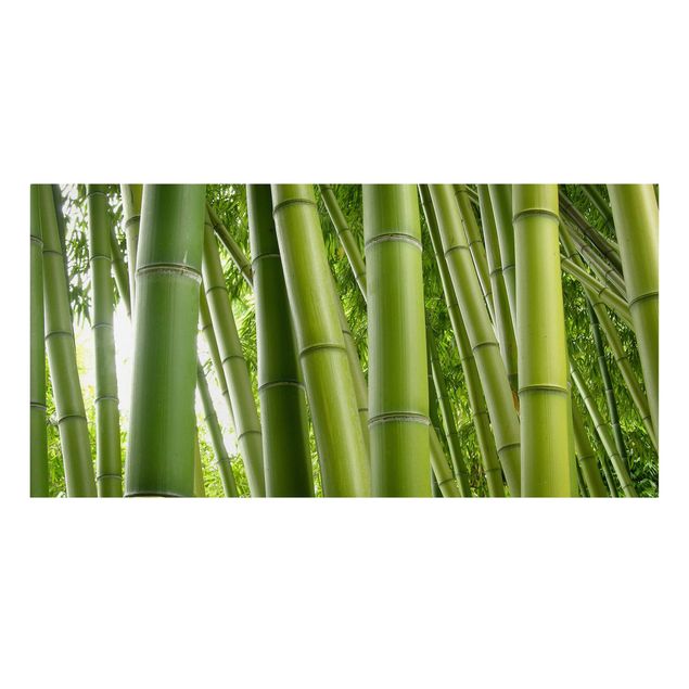 Cuadros paisajes Bamboo Trees