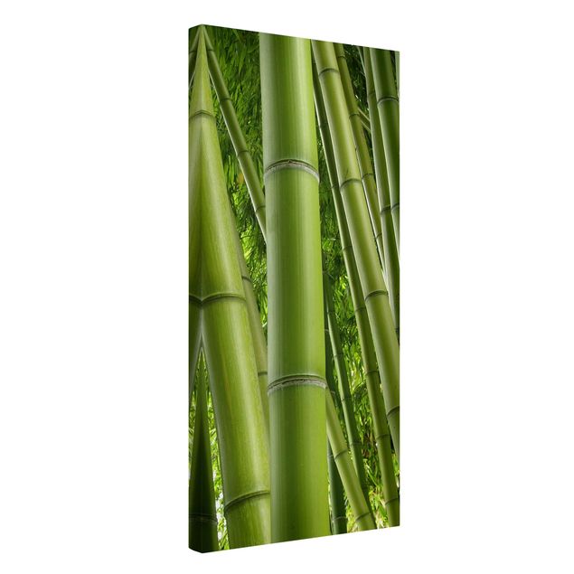 Cuadros bambú decorativos Bamboo Trees