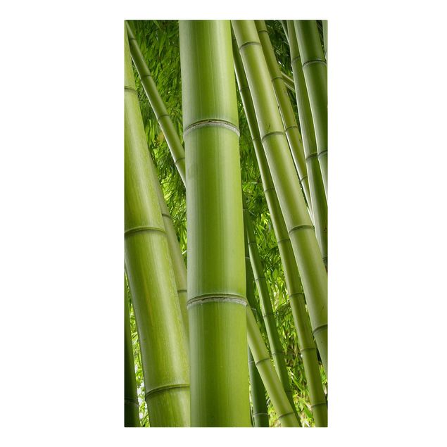 Cuadros paisajes Bamboo Trees
