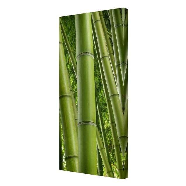 Lienzos de paisajes Bamboo Trees