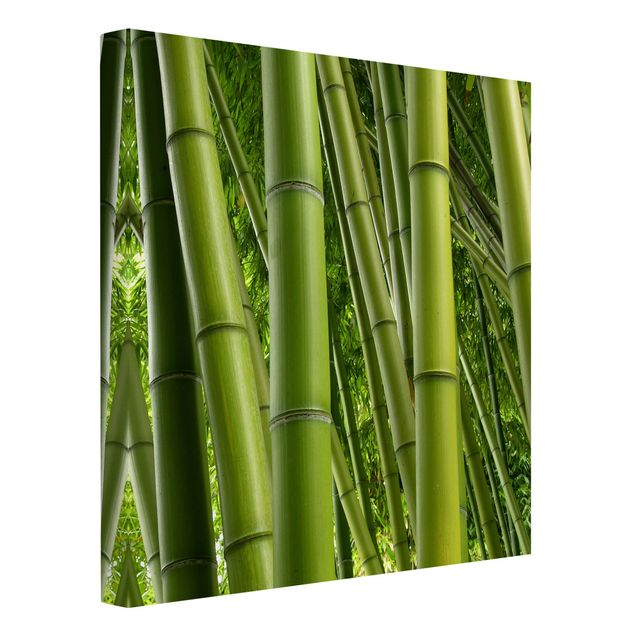Cuadros de bambú Bamboo Trees